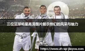 沈祥福、高洪波、胡建平、杨晨、于允等当选北京市足协副主席