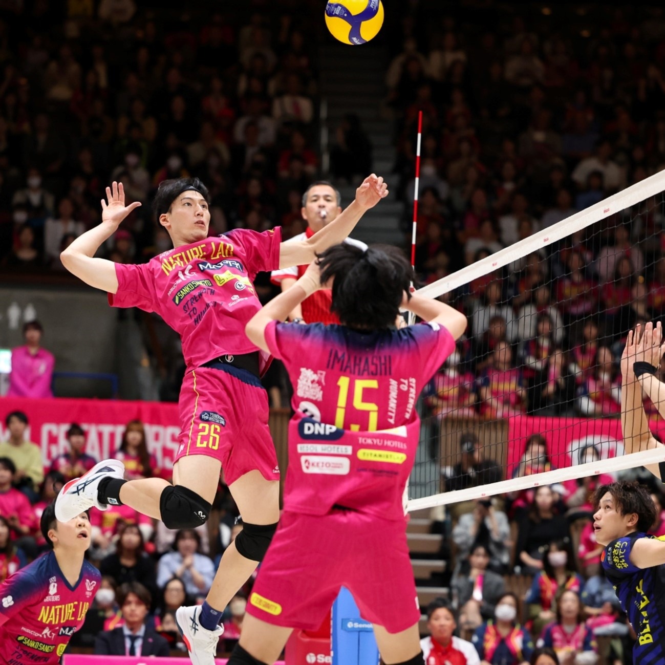 [乒乓球]收获的一年 2026年期待更好